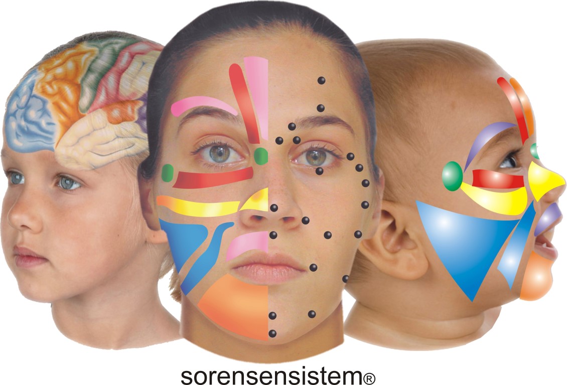 reflexologie gezichtsreflexologie Lone Sorensen Lisette Tiggelaven